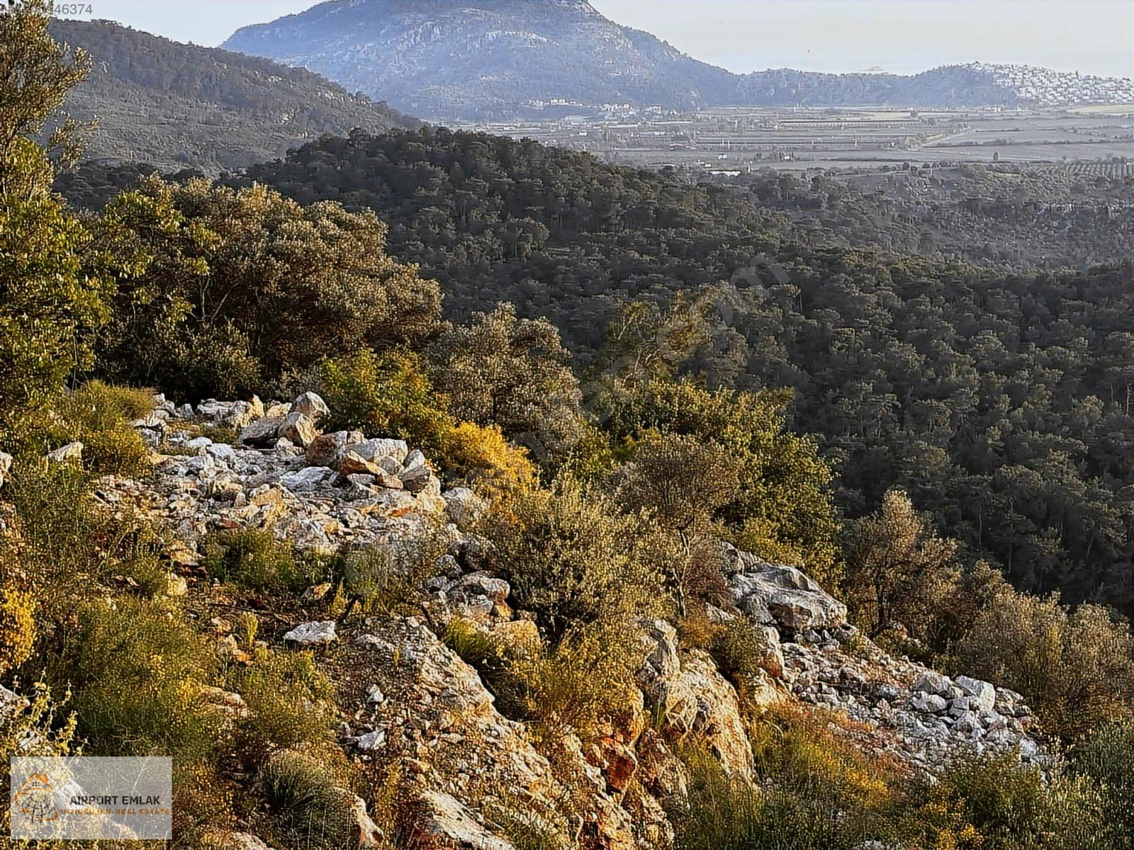 Airport Emlaktan Manzaralı ve Tek Tapu Zeytinlik - MUĞLA DALAMAN fotoğraf 6